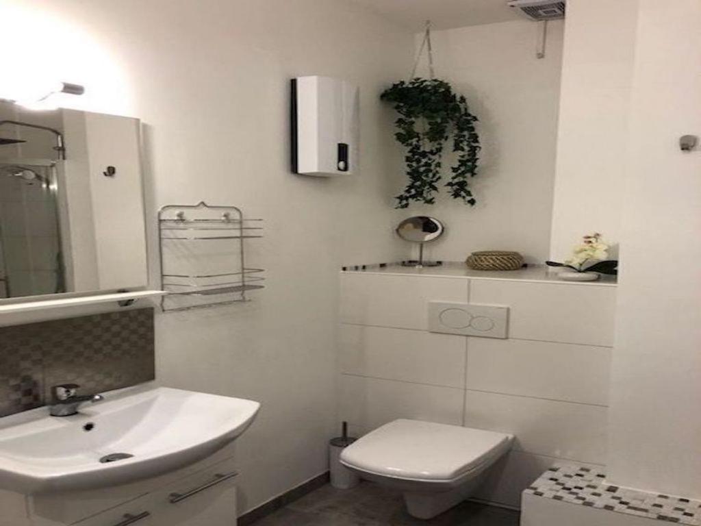 Veedel - Gemuetliche Ferienwohnung In Bester City Lage Köln Exterior foto